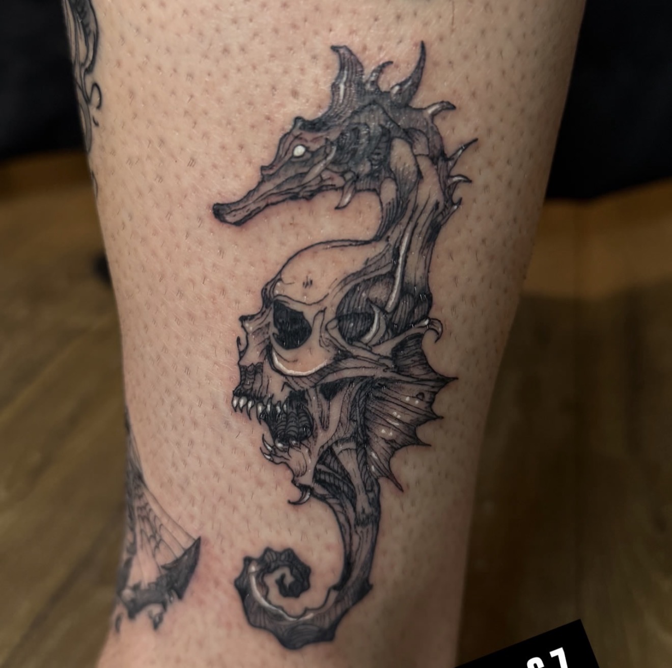 Illustrative black and gray tattoo of a seahorse fused with a skull, tattooed on the lower leg, by Peter Albert at Warpath Studio.